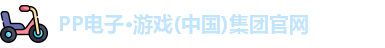 pp电子试玩
